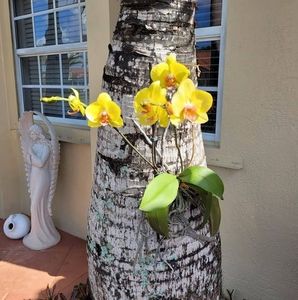 Meet your Posher, Denis